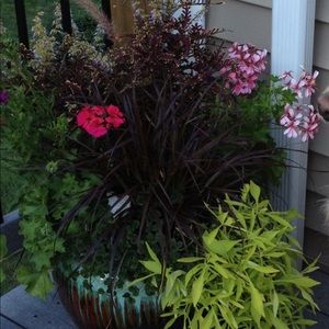 Meet your Posher, Susanne